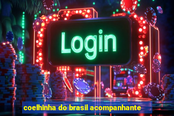 coelhinha do brasil acompanhante